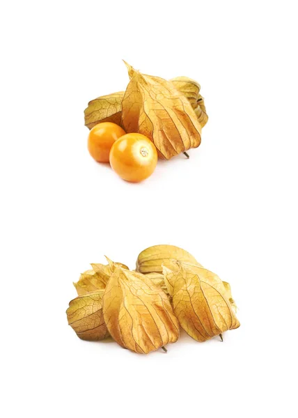 Состав пары фруктов Physalis — стоковое фото