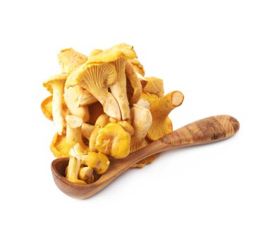 İzole sarı Cantharellus cibarius mantar