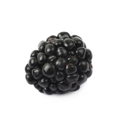 İzole tek böğürtlen meyve