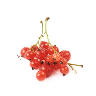 İzole kırmızı kuş üzümü yığını