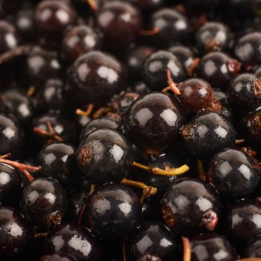 Siyah frenk üzümü ile kaplı yüzey