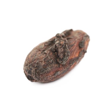 Tek kakao çekirdeği izole