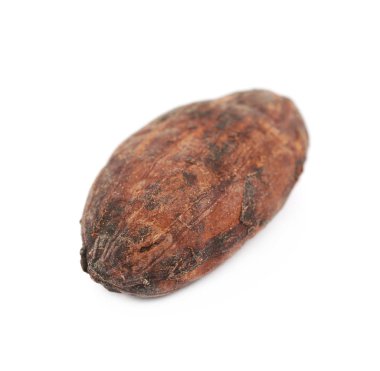 Tek kakao çekirdeği izole