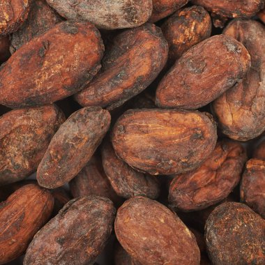 Kakao çekirdeği arka plan kompozisyon