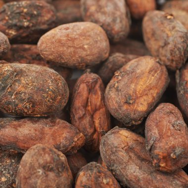 Kakao çekirdeği arka plan kompozisyon