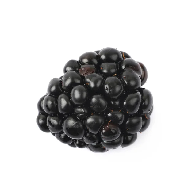 Enkele blackberry fruit geïsoleerd — Stockfoto