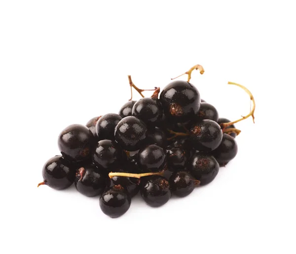 Kupie jagody czarnej porzeczki na białym tle — Zdjęcie stockowe