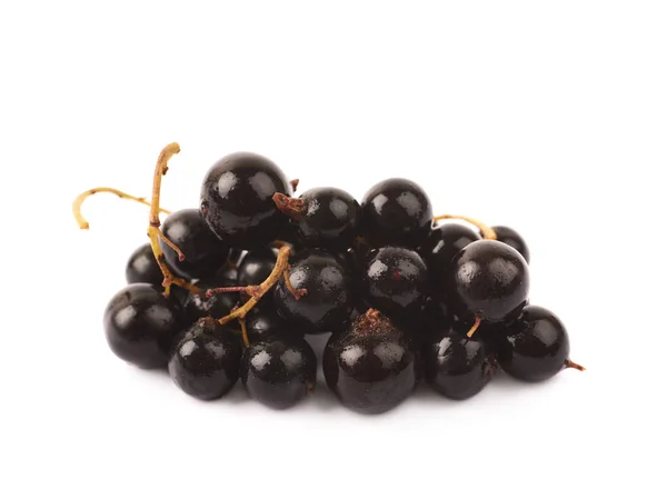 Mucchio di bacche di ribes nero isolato — Foto Stock