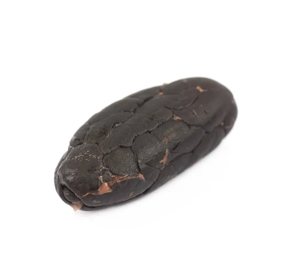 고립 된 단일 코코아 콩 — 스톡 사진