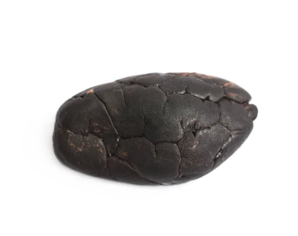 Jediné kakaových bobů, samostatný — Stock fotografie