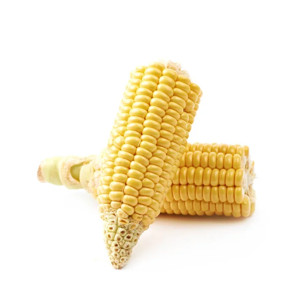 Ear of corn corncob isolated — Stock Photo, Image