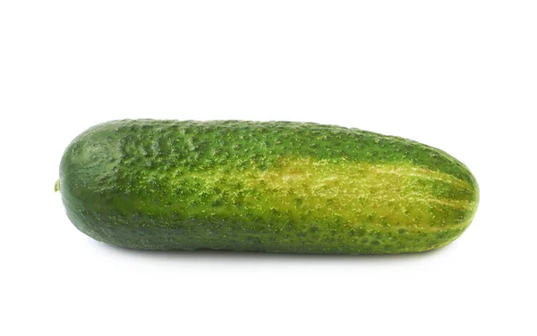 Pepino verde fresco isolado — Fotografia de Stock