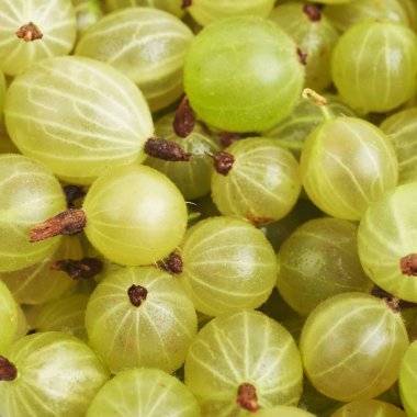 Bektaşi ile kaplı yüzey