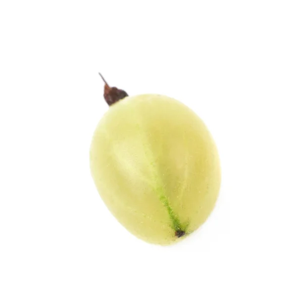 Single gooseberry isolated — Stock Photo, Image