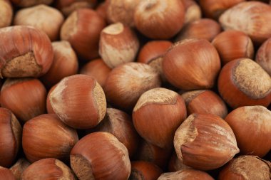 Fındık ile kaplı yüzey