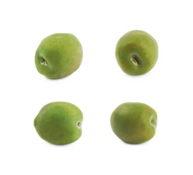 İzole tek yeşil zeytin