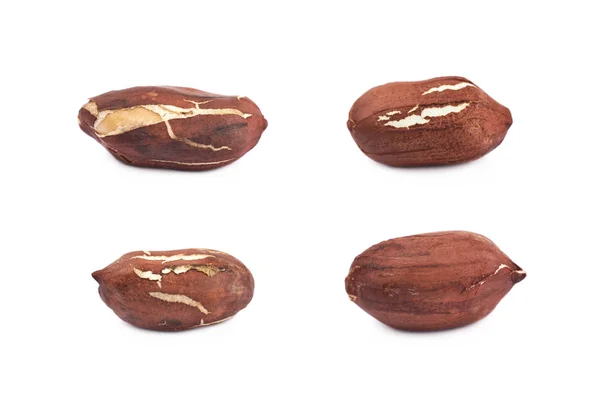Amendoim simples em uma casca isolada — Fotografia de Stock