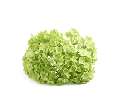 Yeşil decorational çiçek öğe