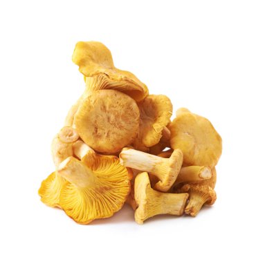 İzole sarı Cantharellus cibarius mantar