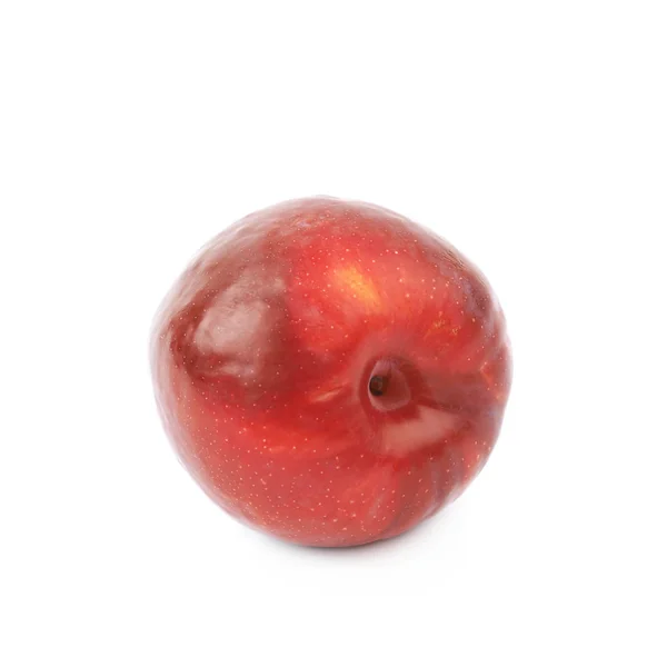 Owoce czerwone śliwki na białym tle — Zdjęcie stockowe
