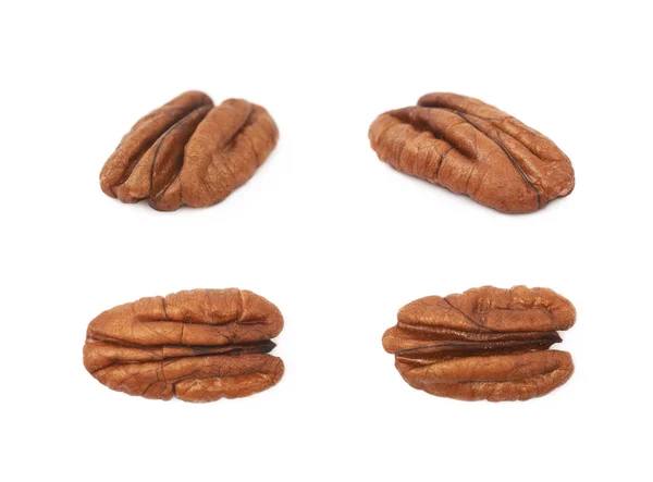 Singolo noce pecan isolato — Foto Stock