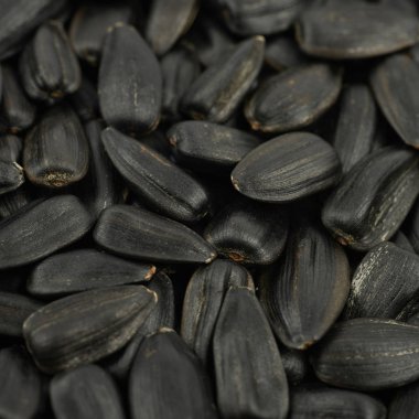 Ayçiçeği tohumu ile kaplı yüzey