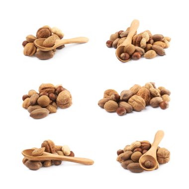 Birden çok tür bir izole fındık yığını