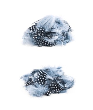 Decorational tüyleri izole