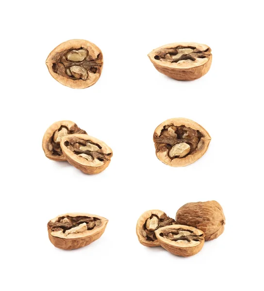 Изолированная композиция грецкого ореха — стоковое фото