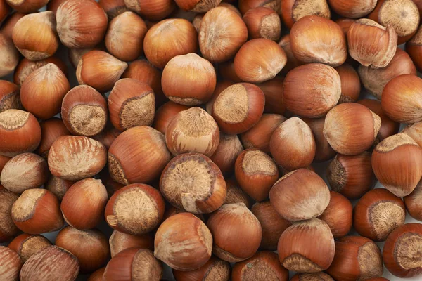 Surface coated with hazelnuts — Stock Photo, Image