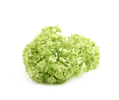 Yeşil decorational çiçek öğe