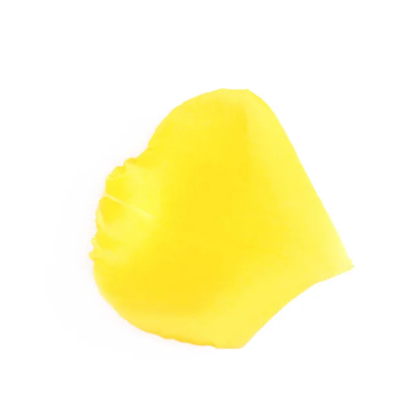 Amarelo pétala rosa isolado — Fotografia de Stock