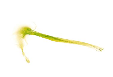 Hareket sıvı sıçrama izole