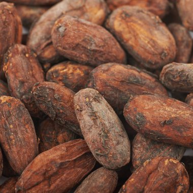 Kakao çekirdeği arka plan kompozisyon