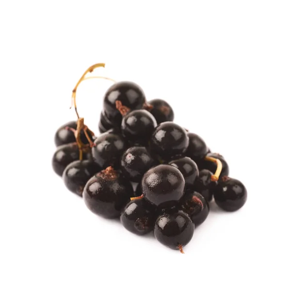 分離された黒スグリの果実の山 — ストック写真