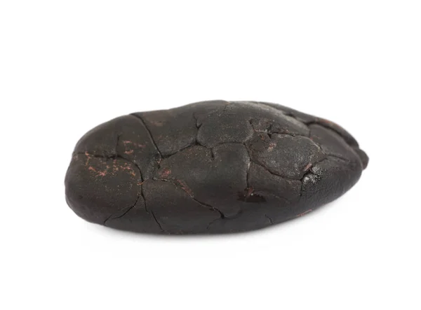 Single cocoa bean isolated — Stock Photo, Image