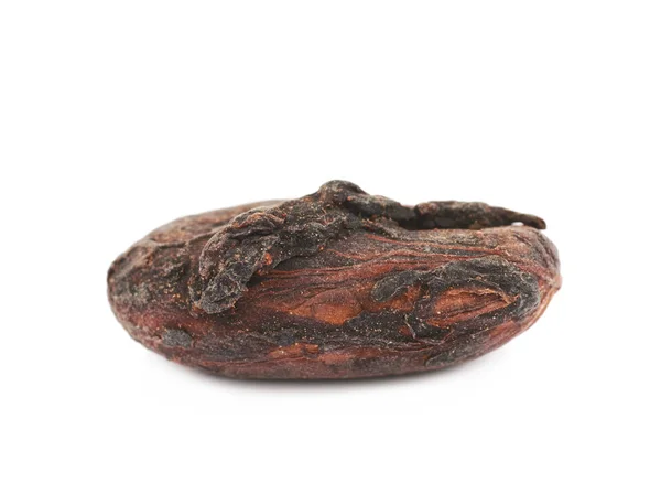 Single cocoa bean isolated — Stock Photo, Image