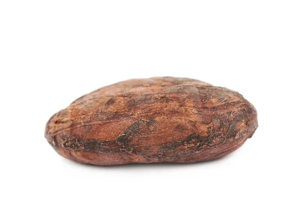 Enkele cacaoboon geïsoleerd — Stockfoto