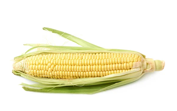 옥수수 corncob 절연의 귀 — 스톡 사진