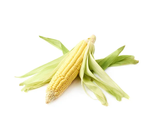 Oreja de mazorca de maíz aislada —  Fotos de Stock