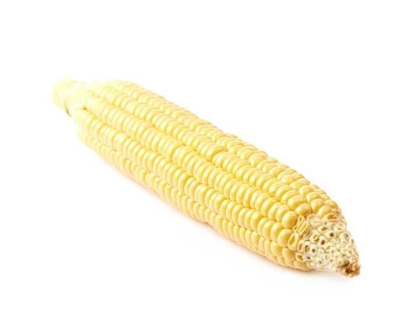 Ear of corn corncob isolated — Stock Photo, Image