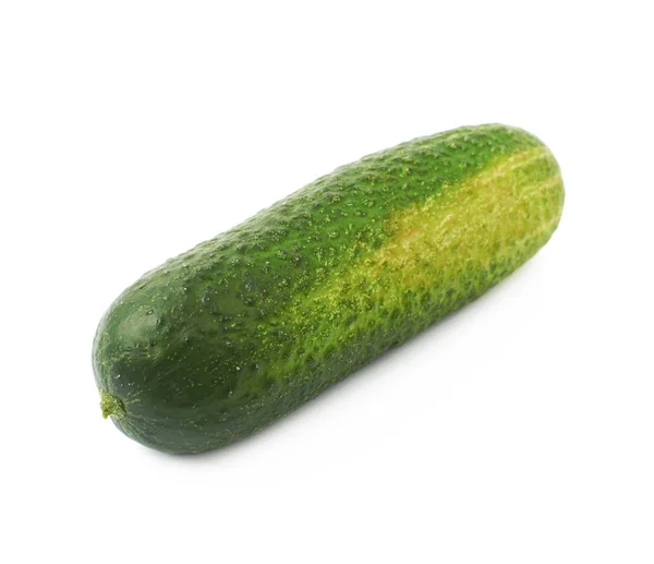 孤立的鲜绿色黄瓜 — 图库照片