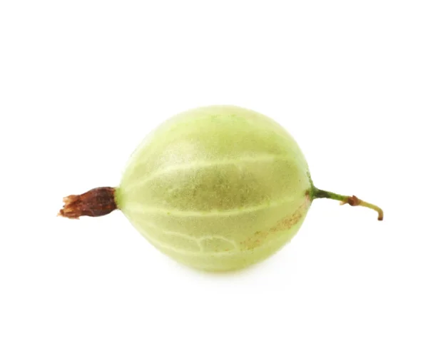 Singola uva spina isolata — Foto Stock