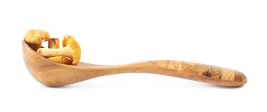 İzole sarı Cantharellus cibarius mantar