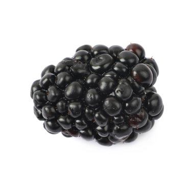 İzole tek böğürtlen meyve