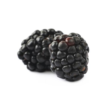 Birkaç izole böğürtlen