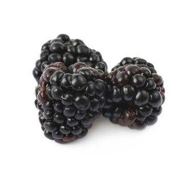 Birkaç izole böğürtlen