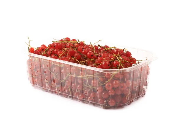Plastic box of red currant isolated — Stock Photo, Image