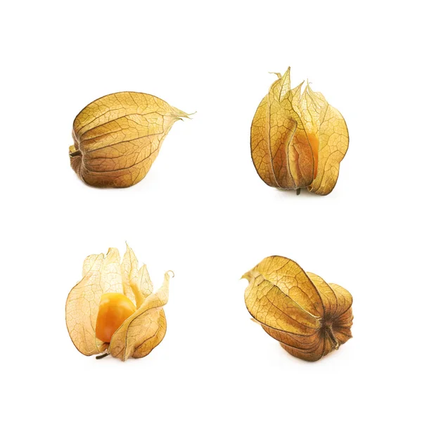 Buah beri Physalis terisolasi — Stok Foto