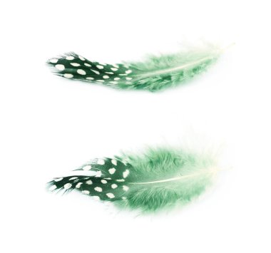 Decorational tüy izole